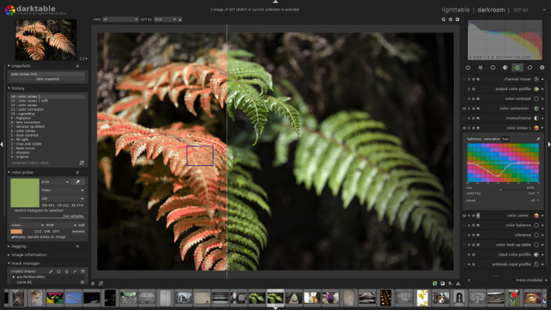 The Darktable Darkroom page showing an image of bracken with a before and after state.